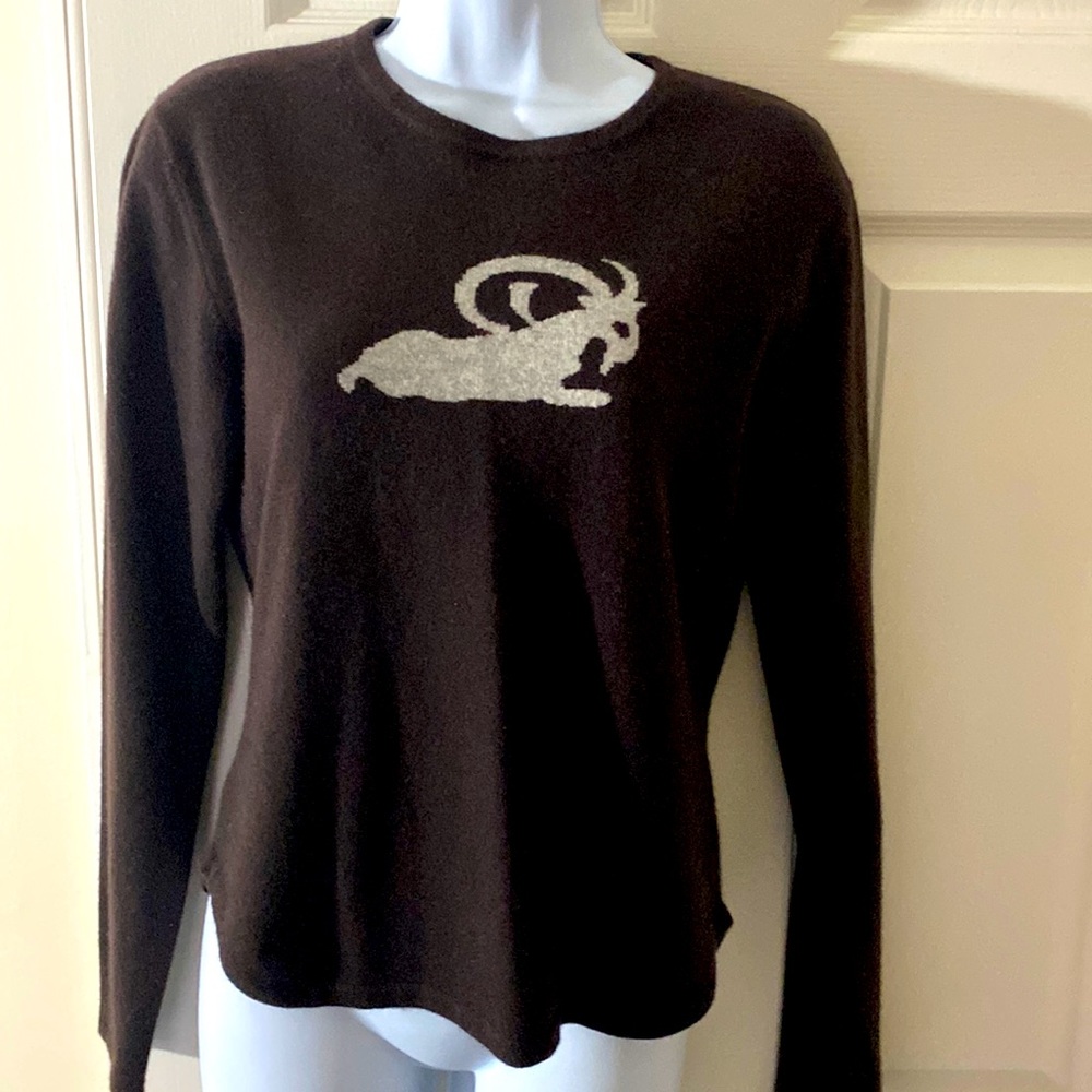 NWOT๐Autumn cashmere zodiac sweater๐คฉPERFECT CONDITION๐๏ธ๐